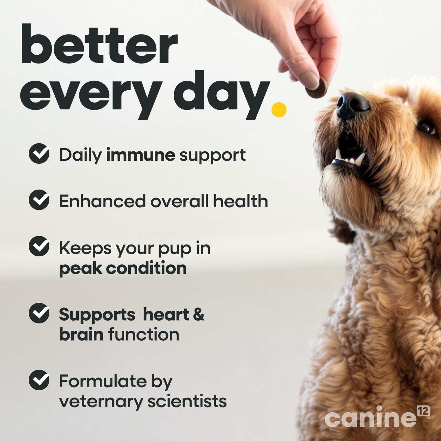 Canine12™ Multivitamin Chew