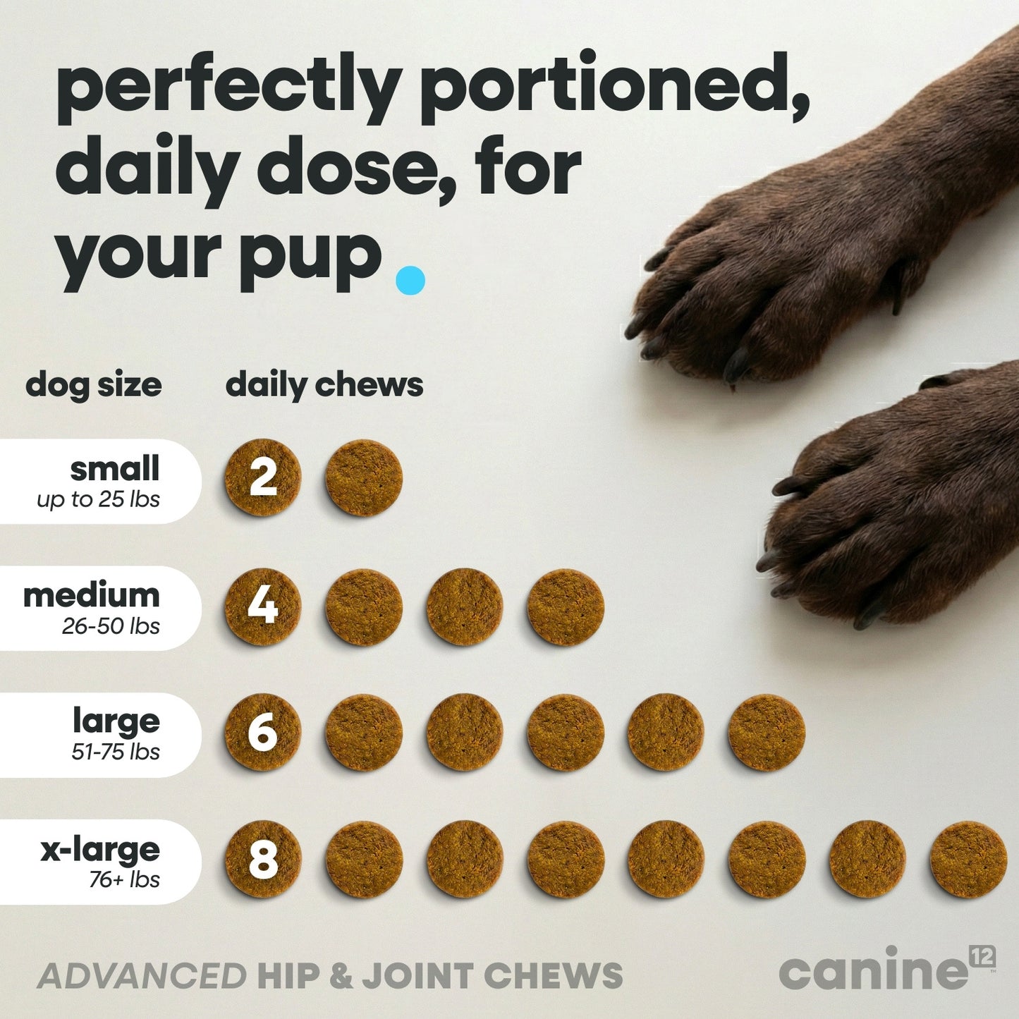 Canine12™ Hip & Joint Supplement Chew
