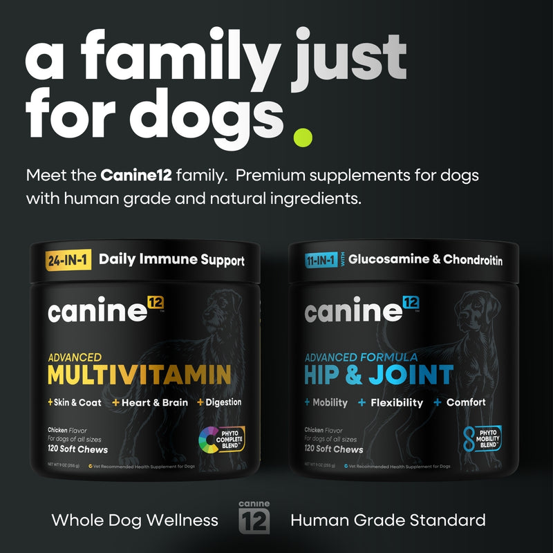 Canine12™ Hip & Joint Supplement Chew
