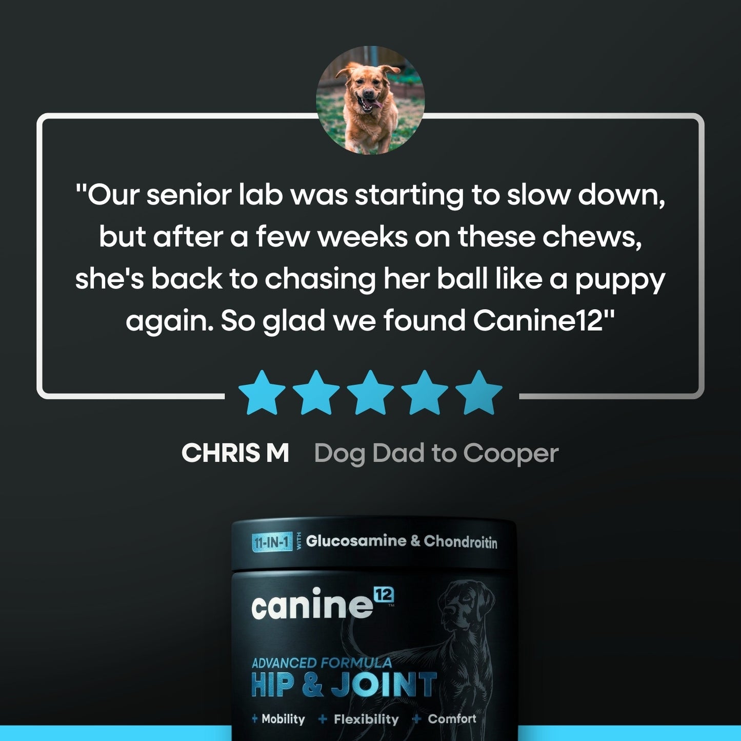 Canine12™ Hip & Joint Supplement Chew