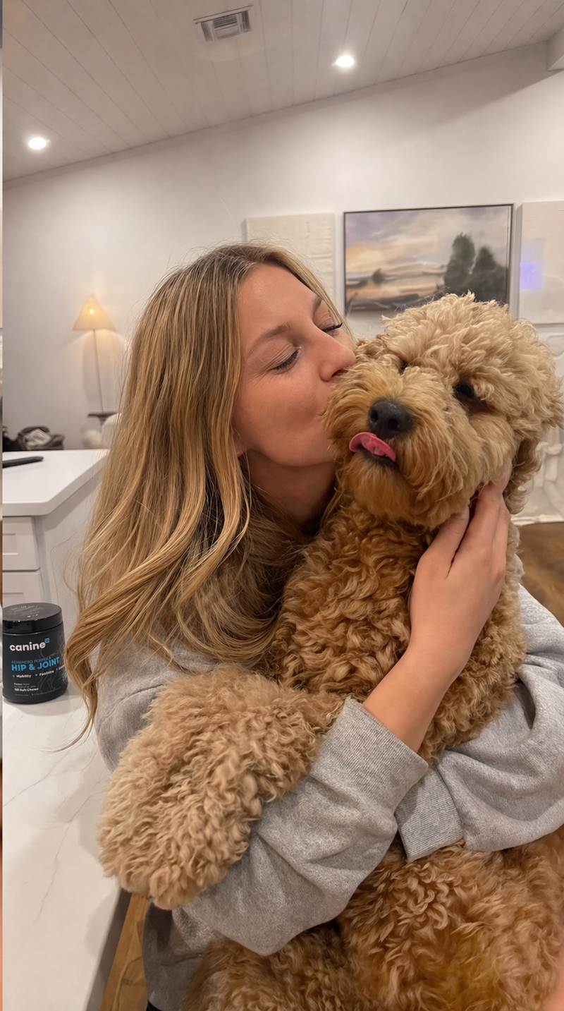 Zoie, Goldendoodle
