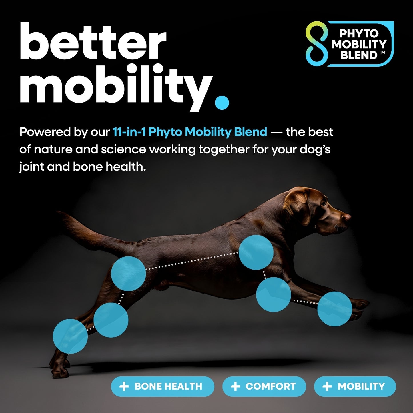 Canine12™ Hip & Joint Supplement Chew