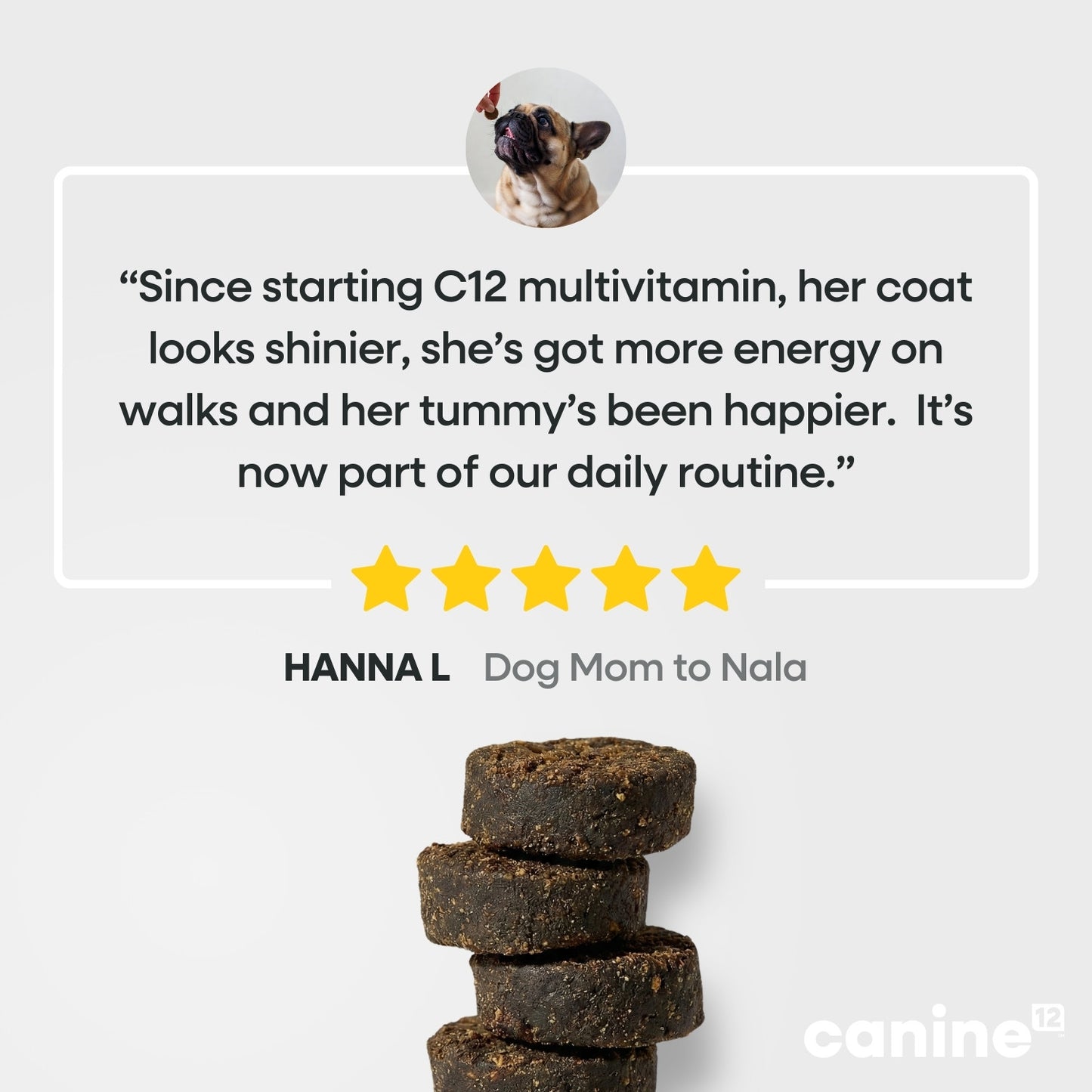 Canine12™ Multivitamin Chew