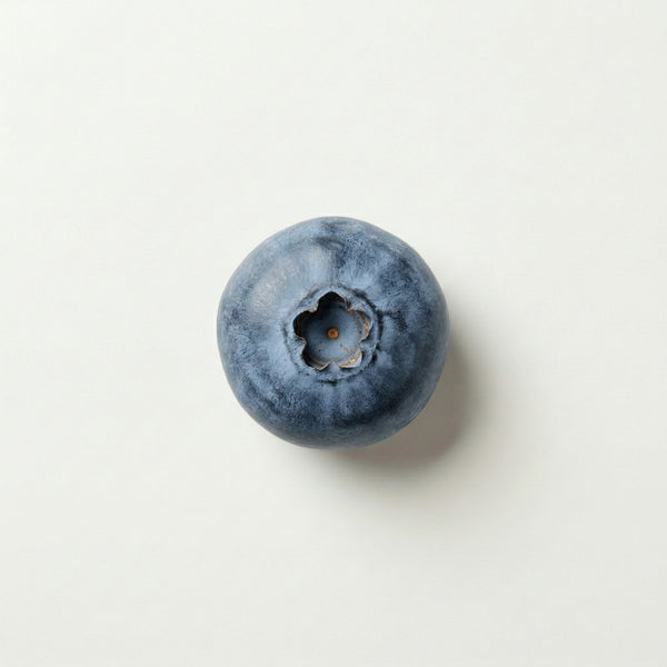 Blueberry Powder