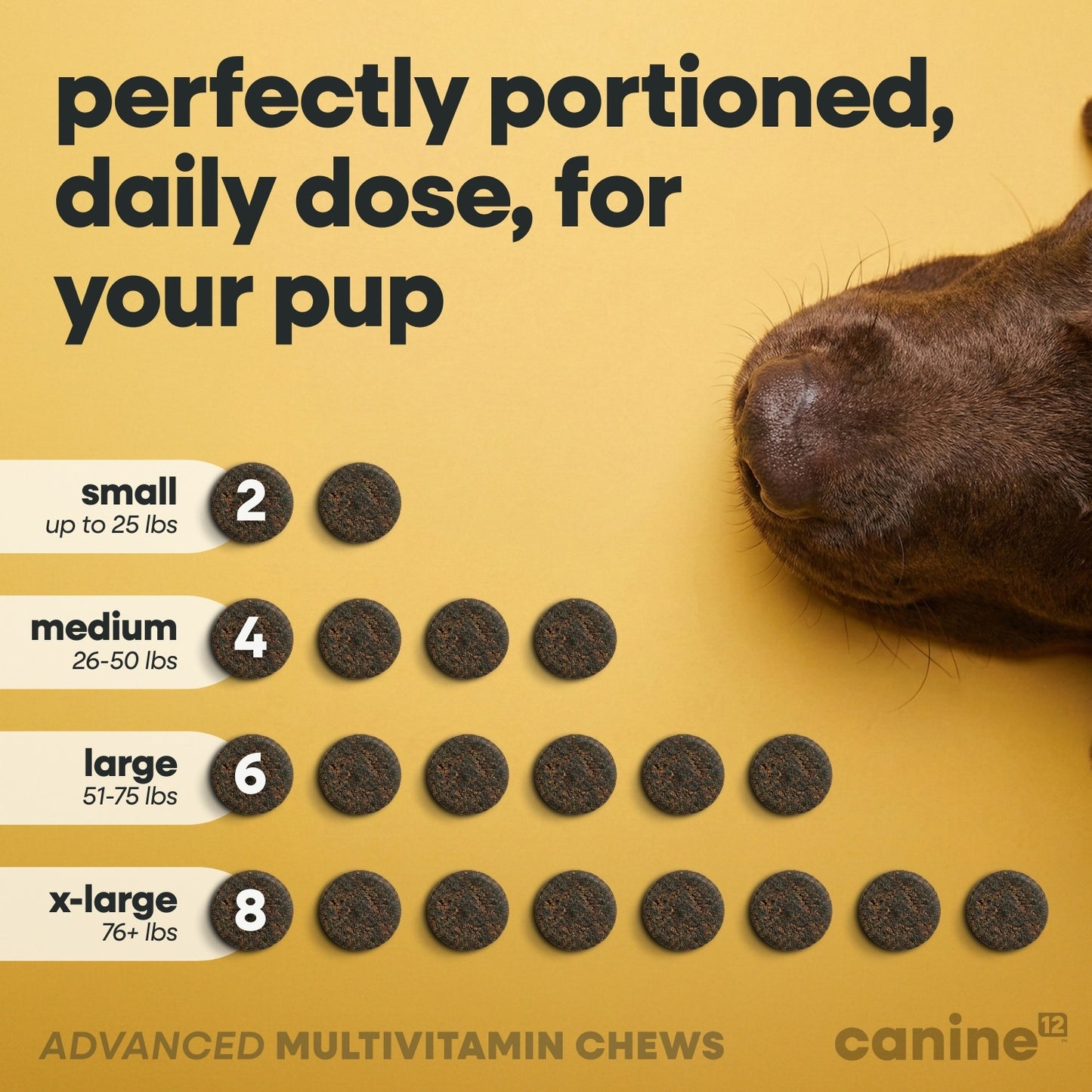 Canine12™ Multivitamin Chew