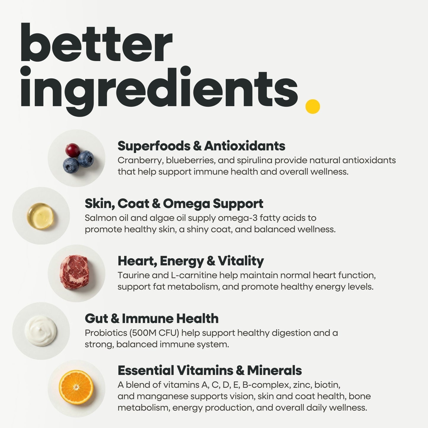 Canine12™ Multivitamin Chew