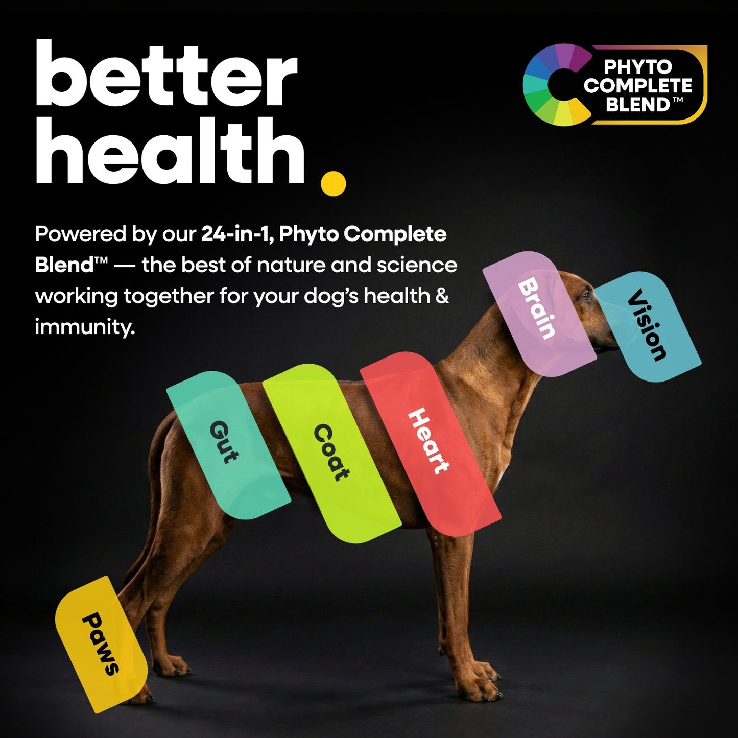 Canine12™ Multivitamin Chew