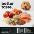 Canine12™ Hip & Joint Supplement Chew