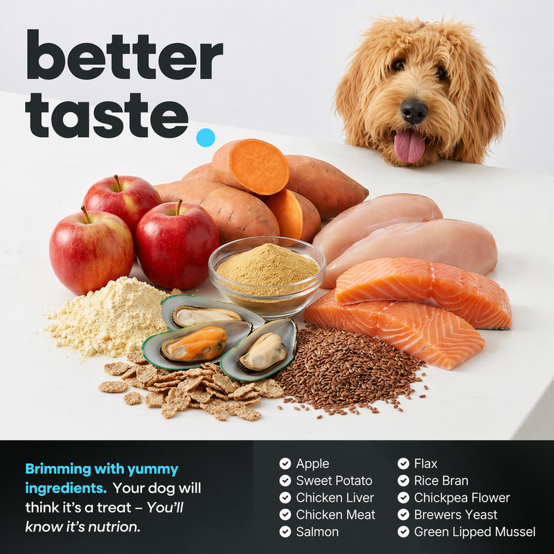 Canine12™ Hip & Joint Supplement Chew