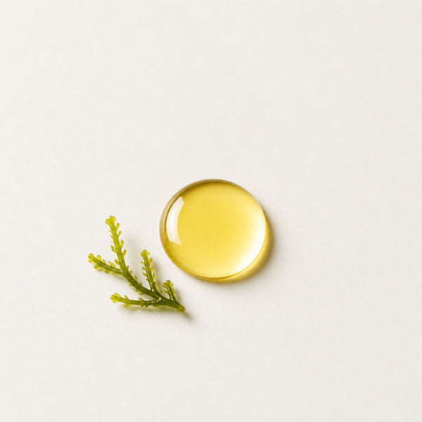 Algae Oil