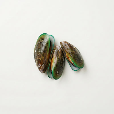 Green-Lipped Mussel